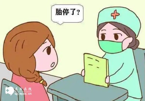 溫州助孕公司：脾壞死檢查方法分享，這三個常見檢查方法要牢記