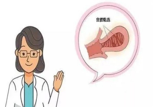 做試管嬰兒前如何調理內膜，學會這些方法提高著床成功率